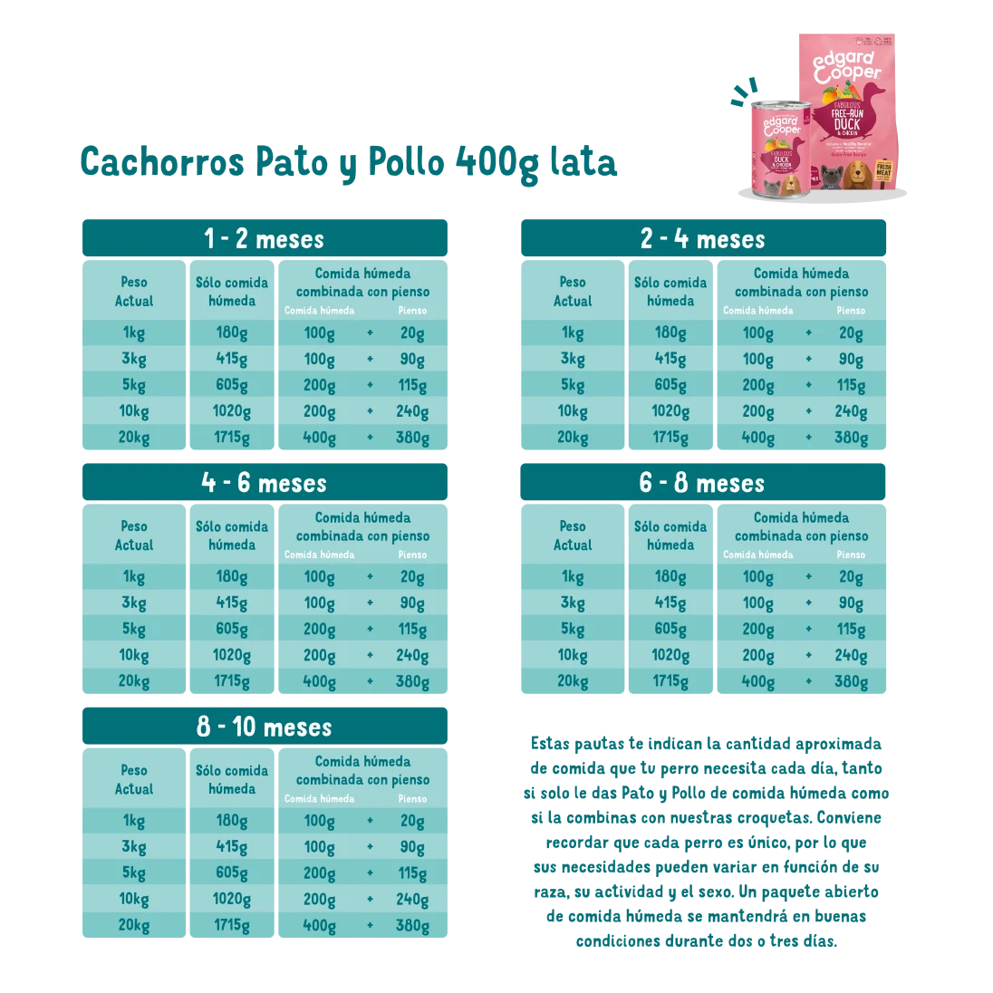 PATO Y POLLO - Imagen 3